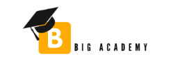 Big Academy